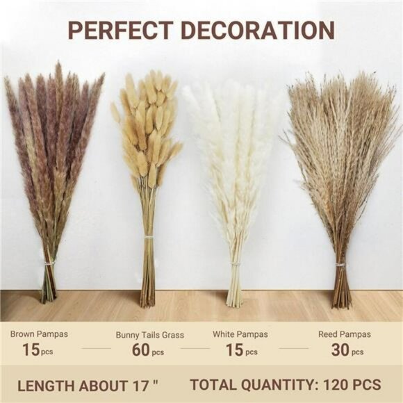 Natural Dried Pampas Grass Bouquet 120 Pcs Boho Home Decor Bunny Tails Reed - Picture 2 of 8